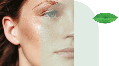 حرفه ای ترین قالب چند منظوره ایرانی